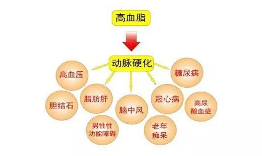 1575251209221873.jpg 44.webp.jpg