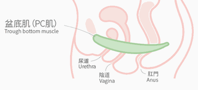 1583716181942510.gif 3.gif