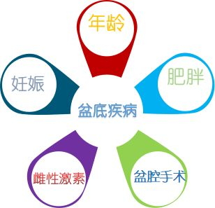 1583716206782269.jpg 4_看图王.jpg